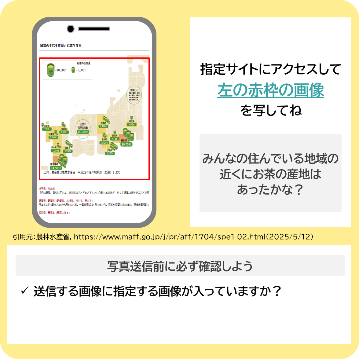 緑茶の産地と生産量を調べよう！の撮影ポイント