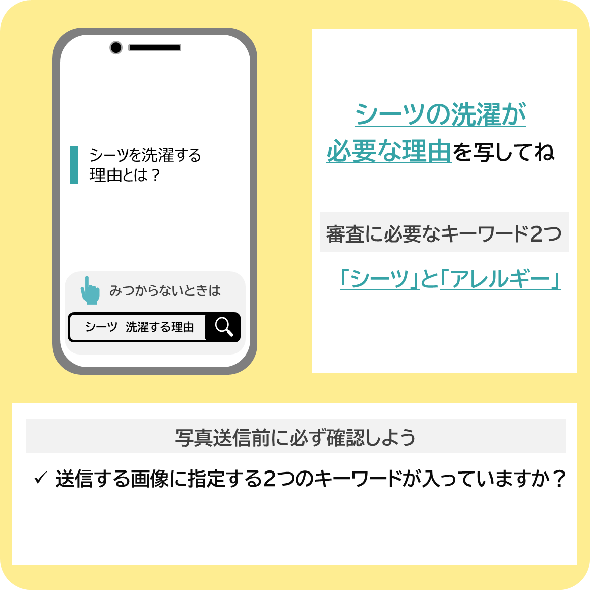 シーツを洗濯する理由について調べよう！の撮影ポイント