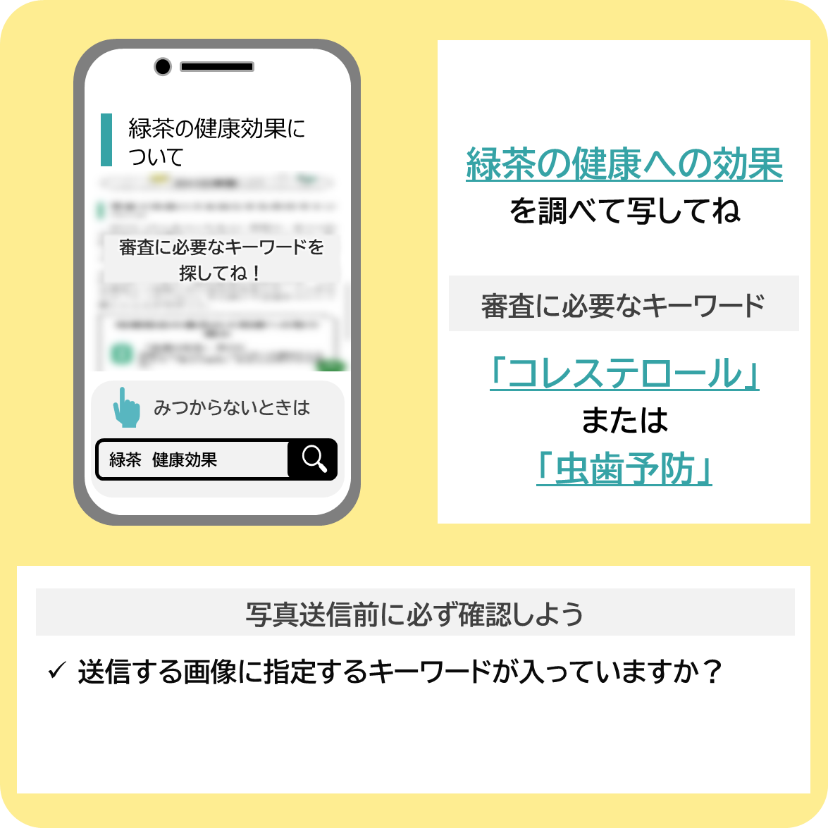 緑茶の健康への効果を調べよう！の撮影ポイント